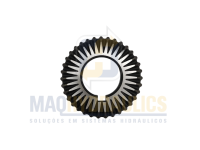 Placa Engrenagem